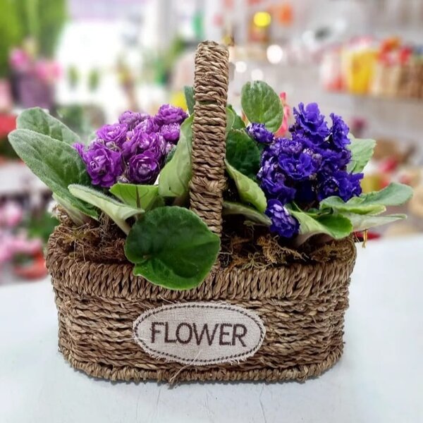 Flores-plantadas-02.jpg
