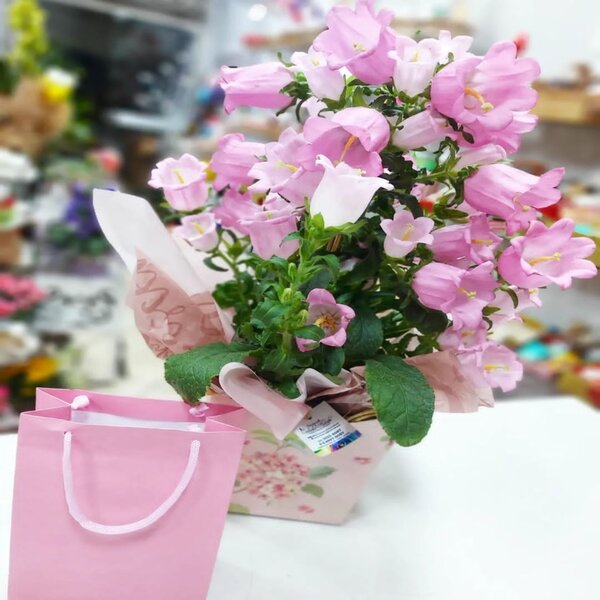 Flores-plantadas-06.jpg