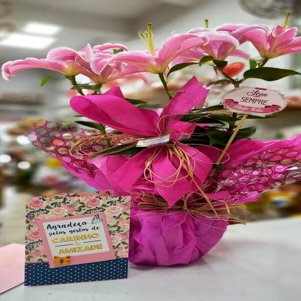 Flores-plantadas-07.jpg