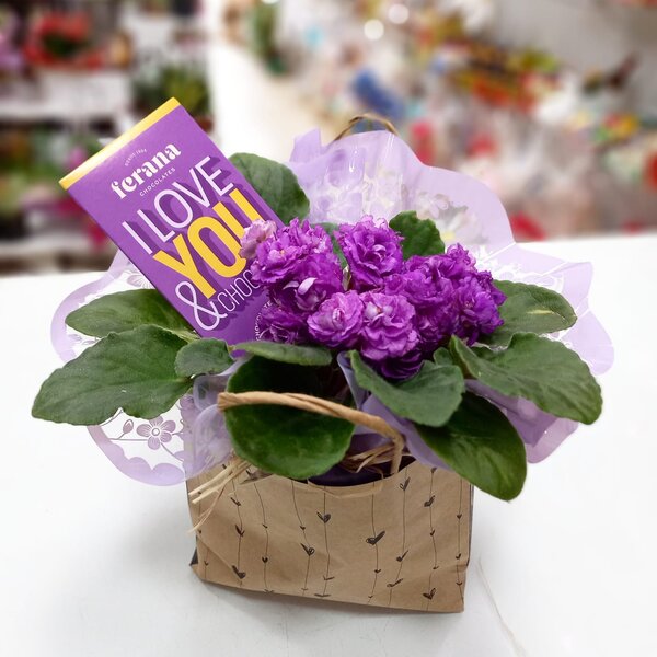 Flores-plantadas-09.jpg
