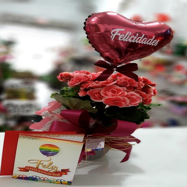 Flores-plantadas-10.jpg
